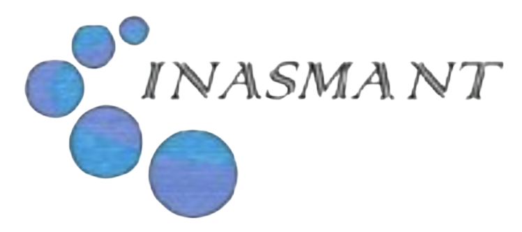 logo inasmant removebg preview